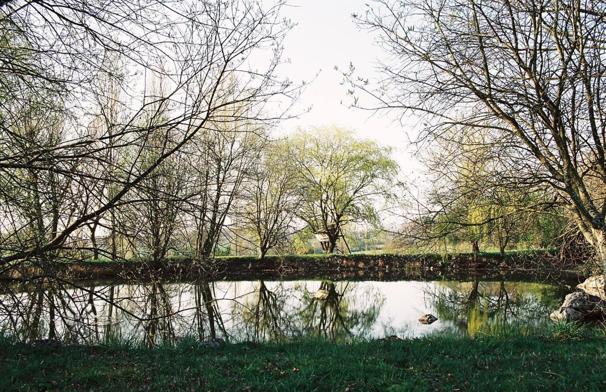 Les Bertaulieres Bed & Breakfast Bossay-sur-Claise Eksteriør bilde